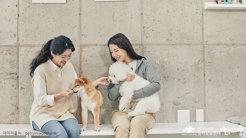대인기피증, 상담치료를 통한 회복의 시작